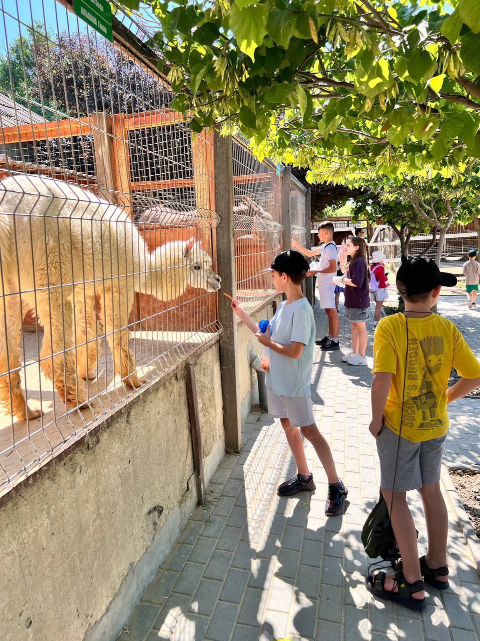 Фото галереї 11