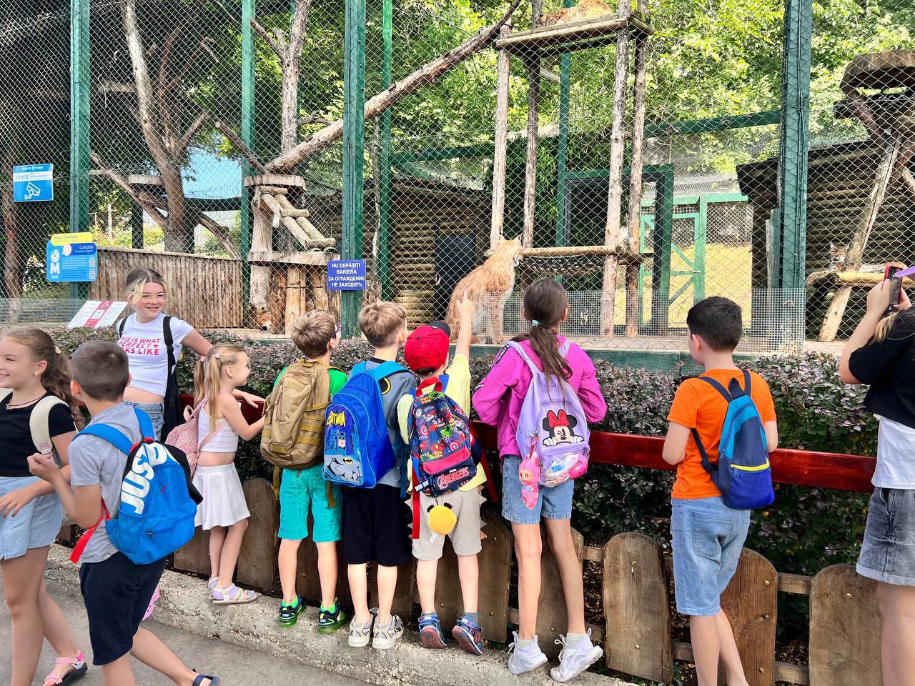 Фото галереї 3