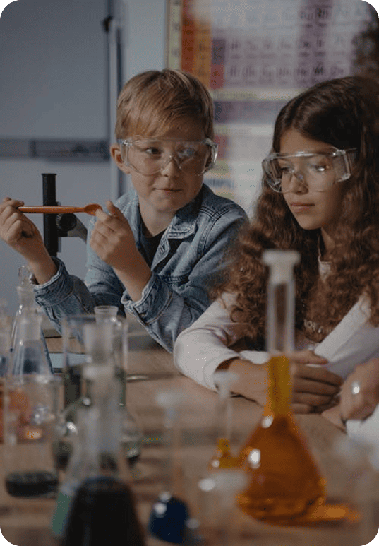 Напрямки Dana School